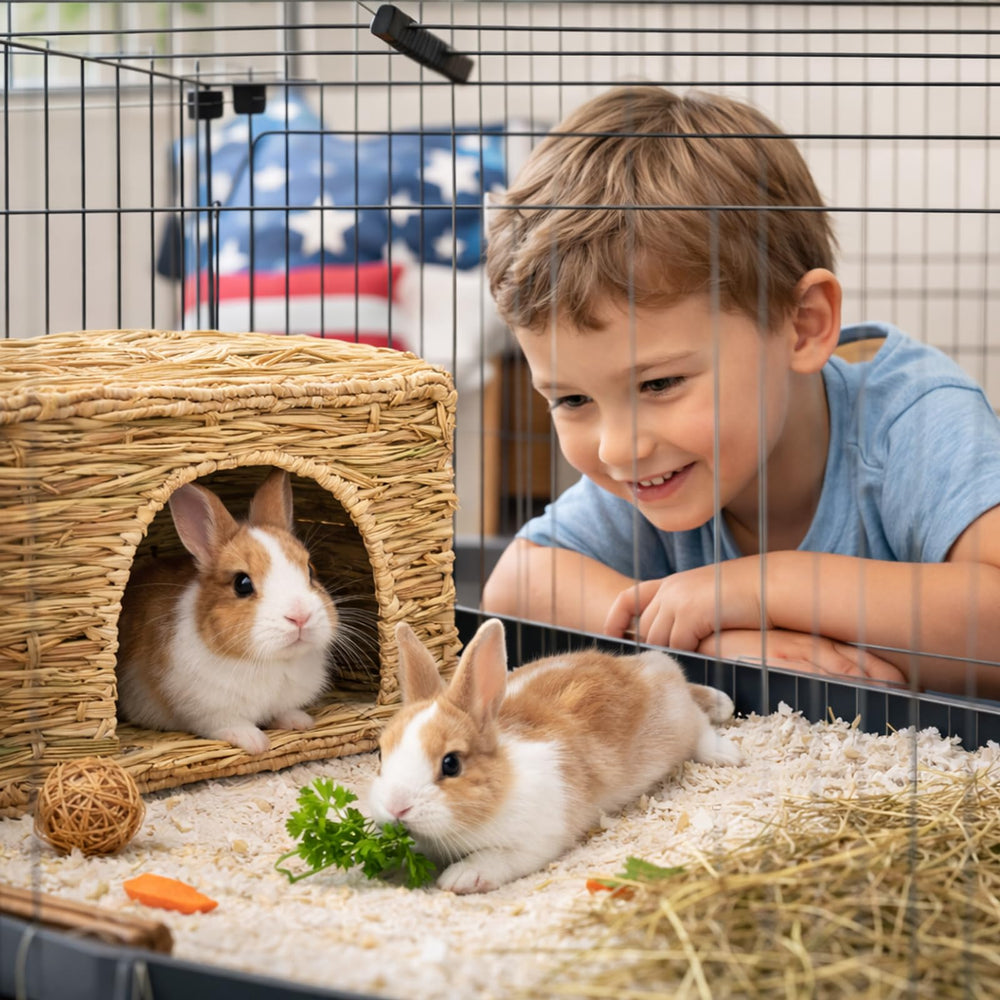 HERCOCCI Fixation cage pour sécuriser le nid en herbe.