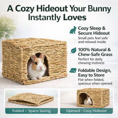 HERCOCCI nid-cache-tapis-grignotage-lapin: refuge privé et activité de mastication.