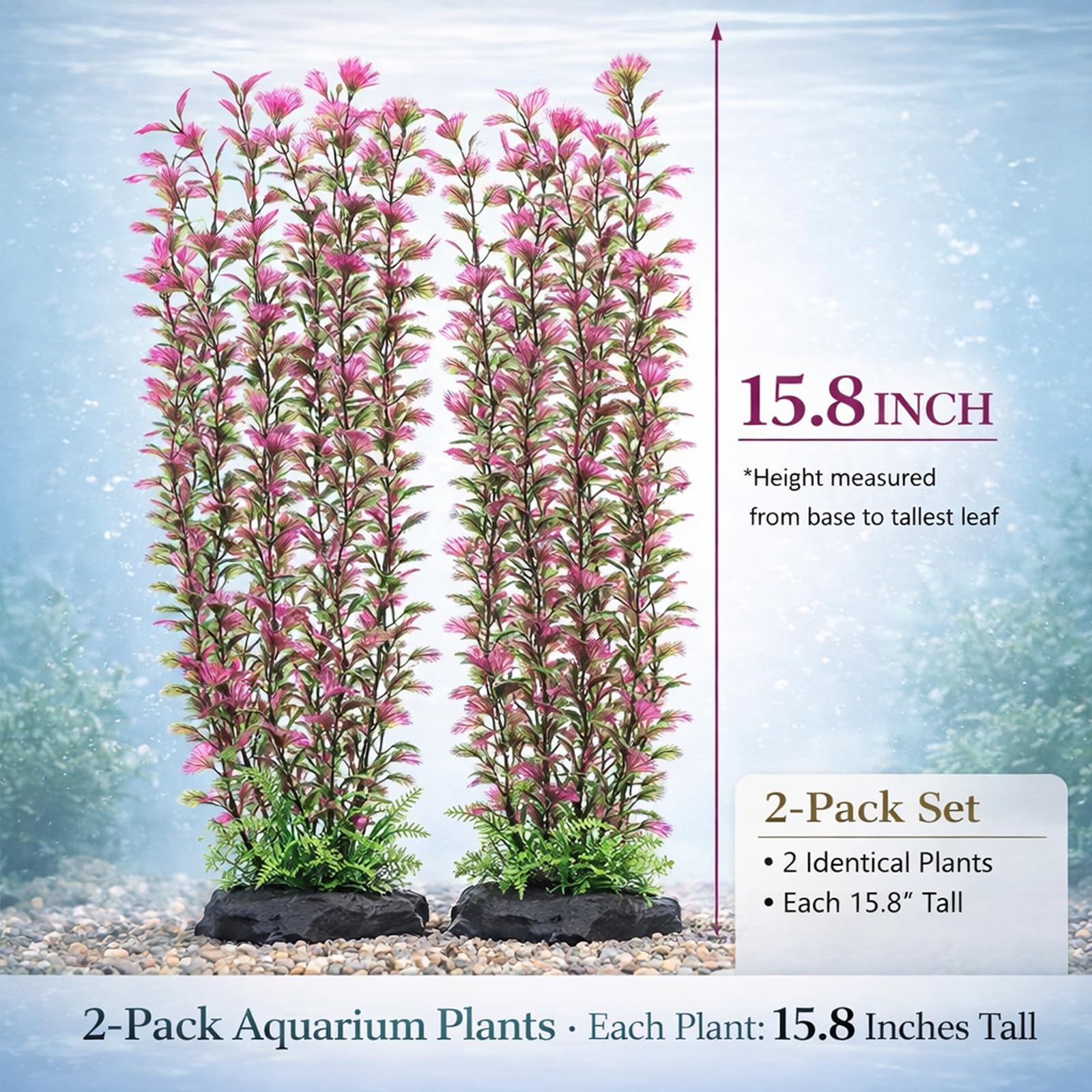 HERCOCCI plante d'aquarium sans CO2 ni éclairage, utilisation flexible.