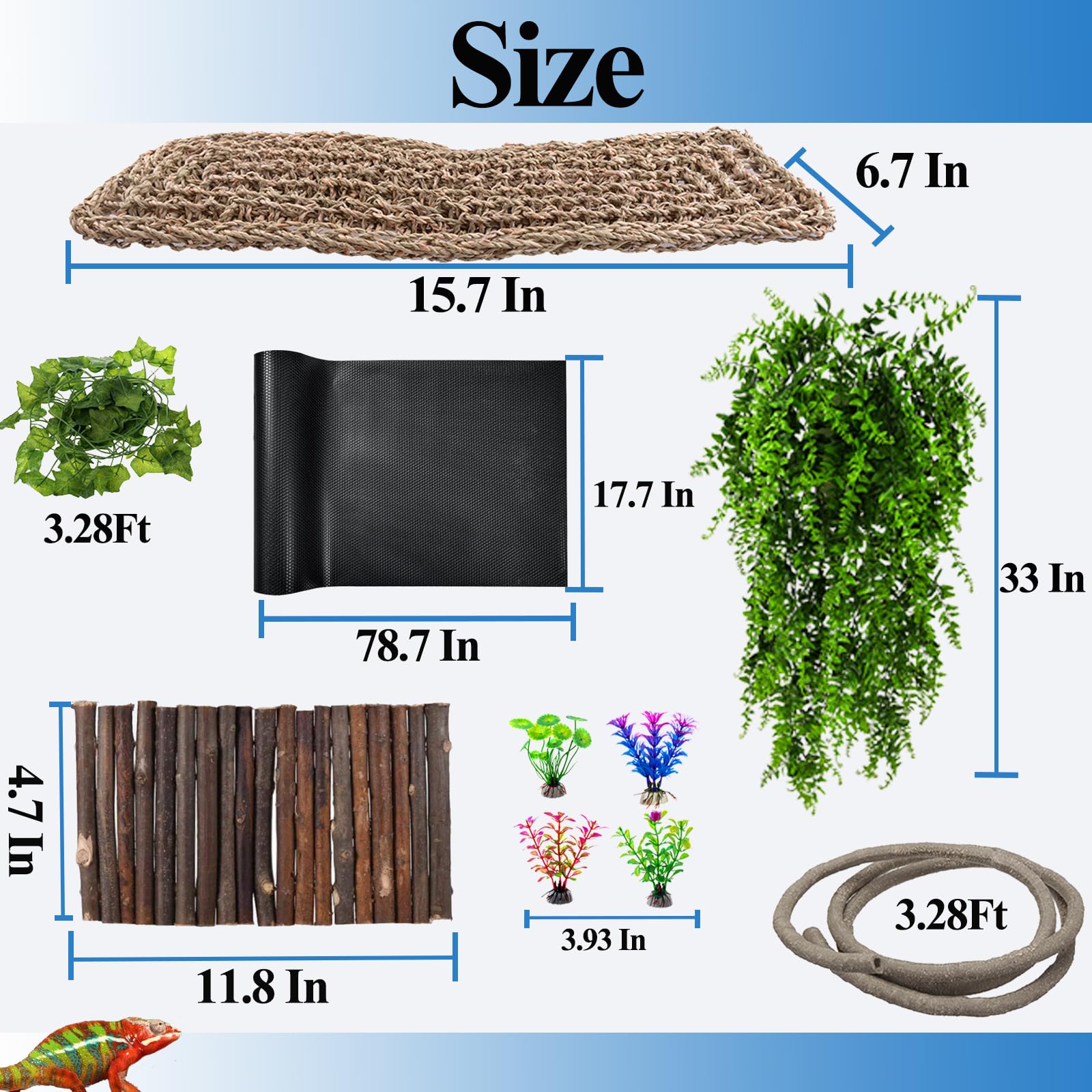 Plantes décoratives terrarium Hercocci: embellissent l'habitat et offrent du relief