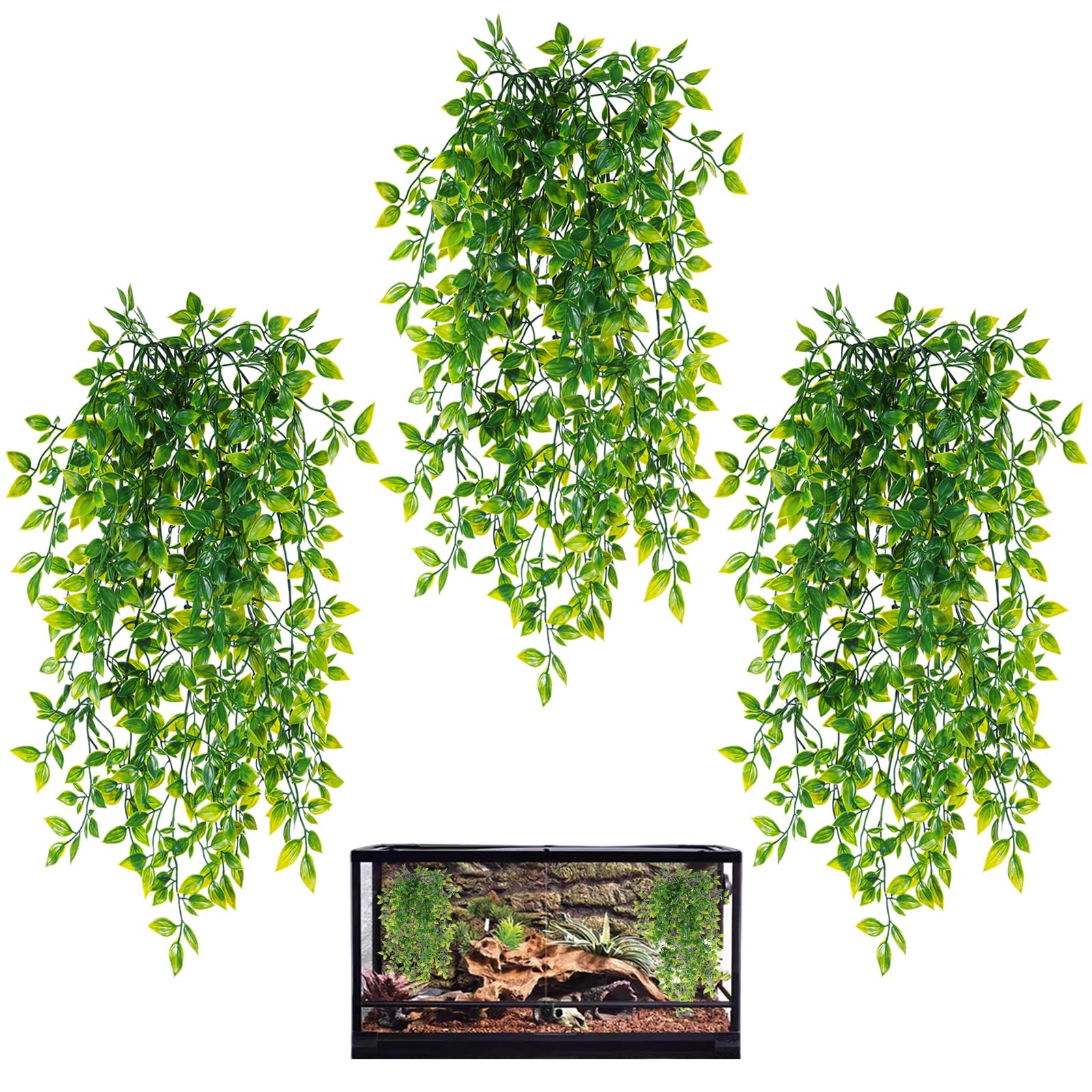 HERCOCCI: lianes suspendues pour terrarium offrant cachettes naturelles