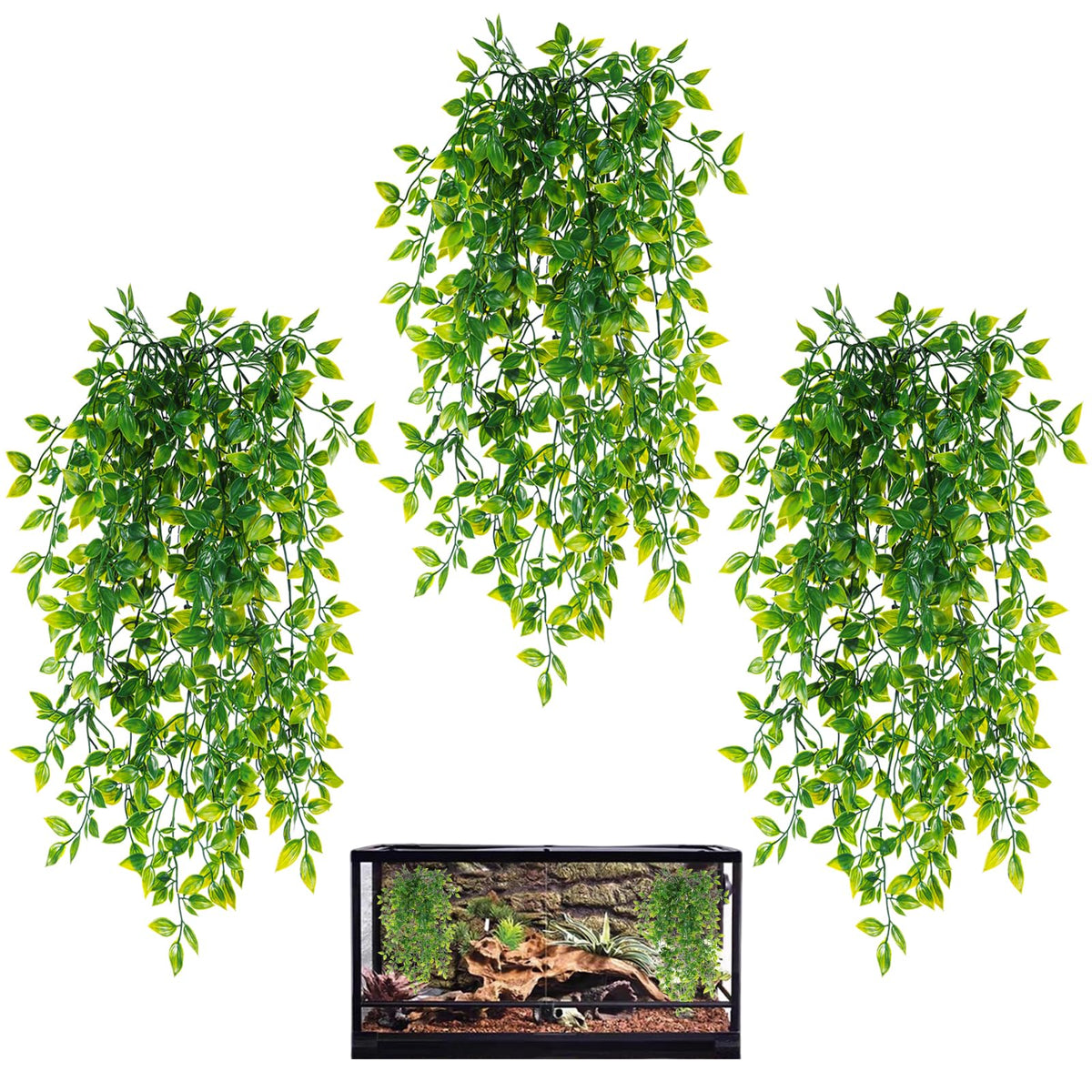 HERCOCCI: lianes suspendues pour terrarium offrant cachettes naturelles