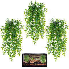 HERCOCCI: lianes suspendues pour terrarium offrant cachettes naturelles