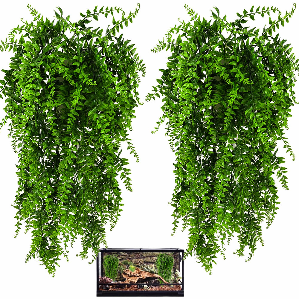 HERCOCCI plante réptile suspendue offre abri et escalade.