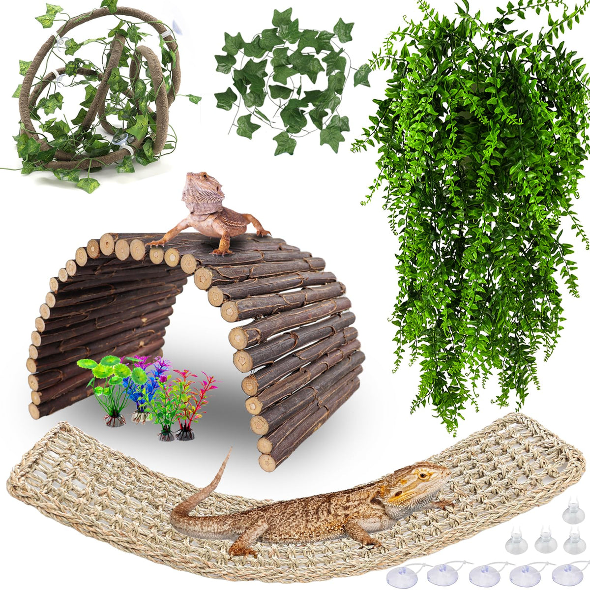 HERCOCCI pont en bois pour dragon barbu, abri sécurisé et escalade naturelle.