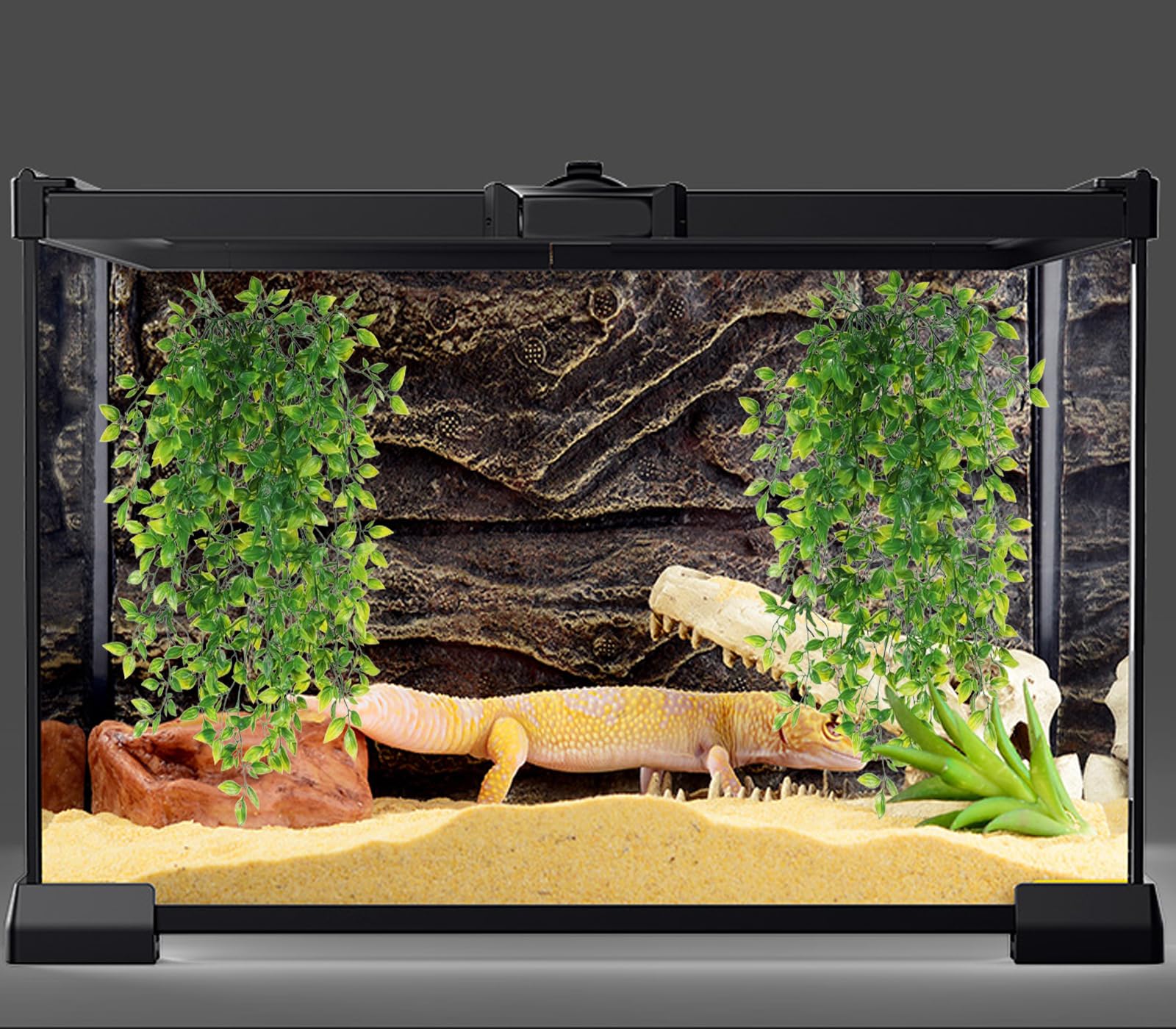 HERCOCCI: décor terrarium vert naturel pour un espace vivant