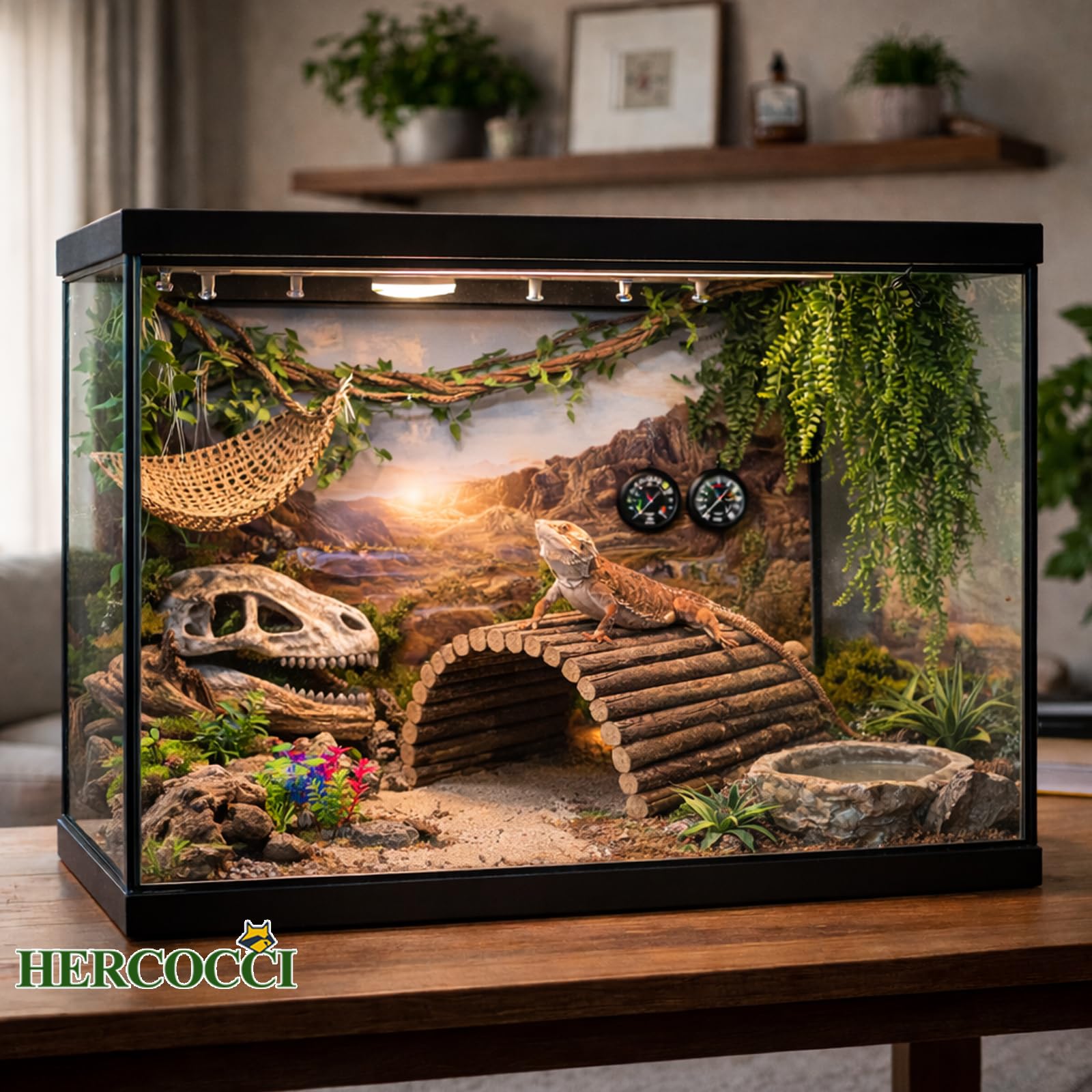 HERCOCCI ventouses robustes fixant le décor sur la paroi du terrarium.