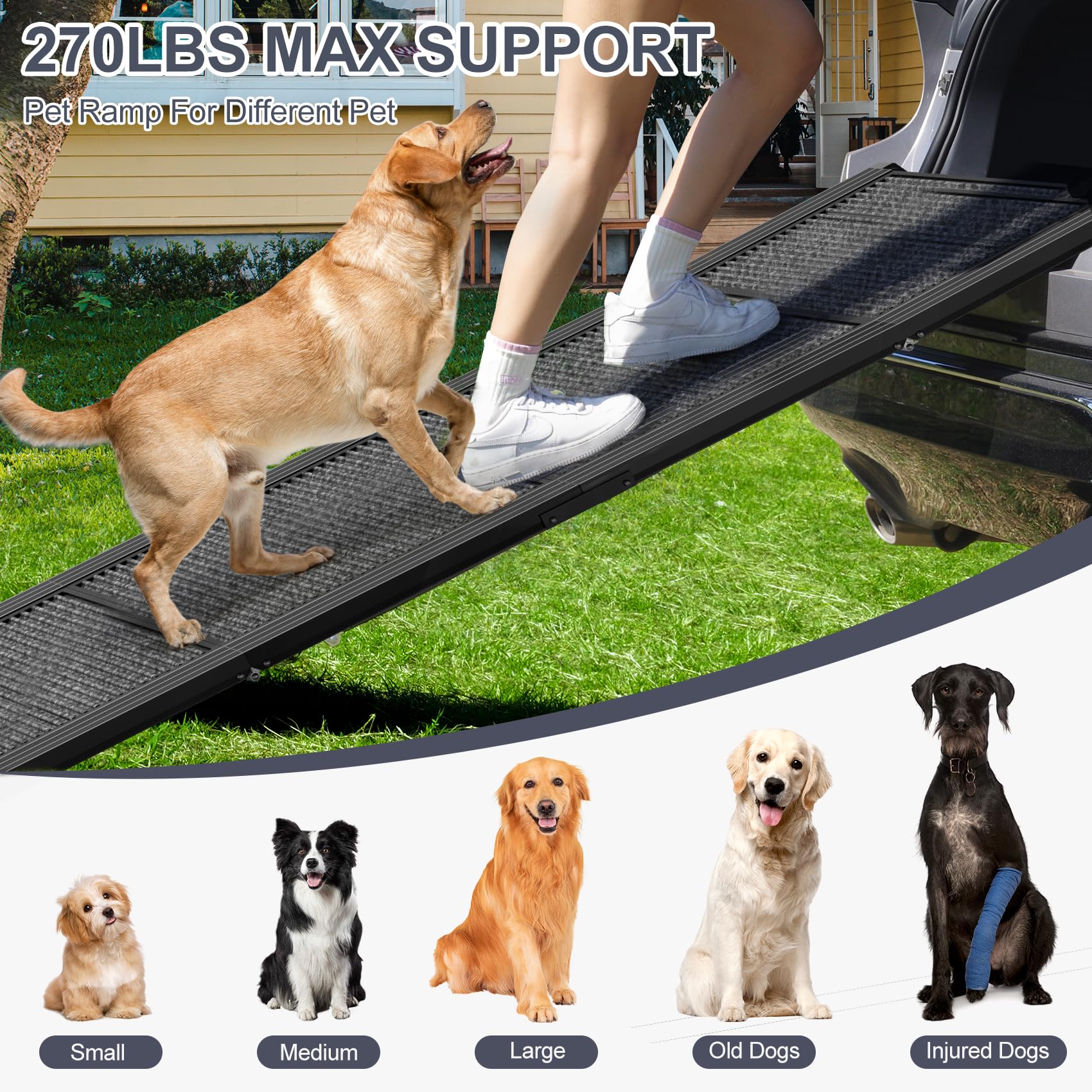 HerCcreta wigge rampe chien 20pouces largeur, plus de stabilité