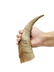 Herders Choice, cornes de chèvre sèches, gros plan sur la texture rugueuse pour mâcheurs.