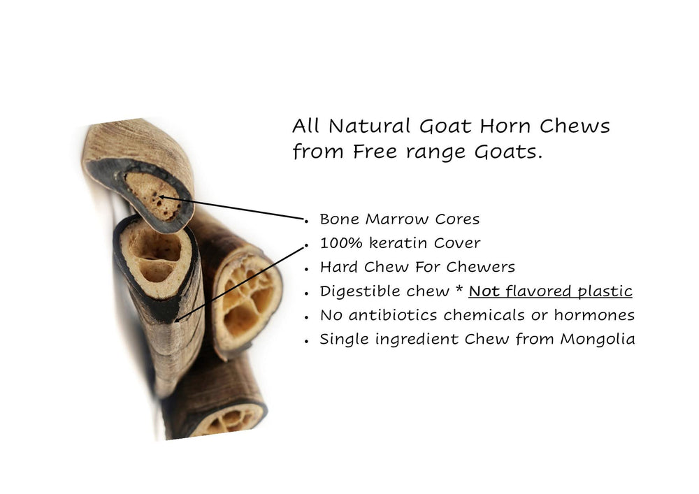 Herders Choice, cornes de chèvre sèches adaptées aux chiens agressifs, solution naturelle.