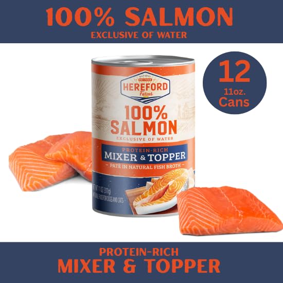 Hereford Farms Chien mange Saumon en bouillon — expérience gustative satisfaisante lors du repas.