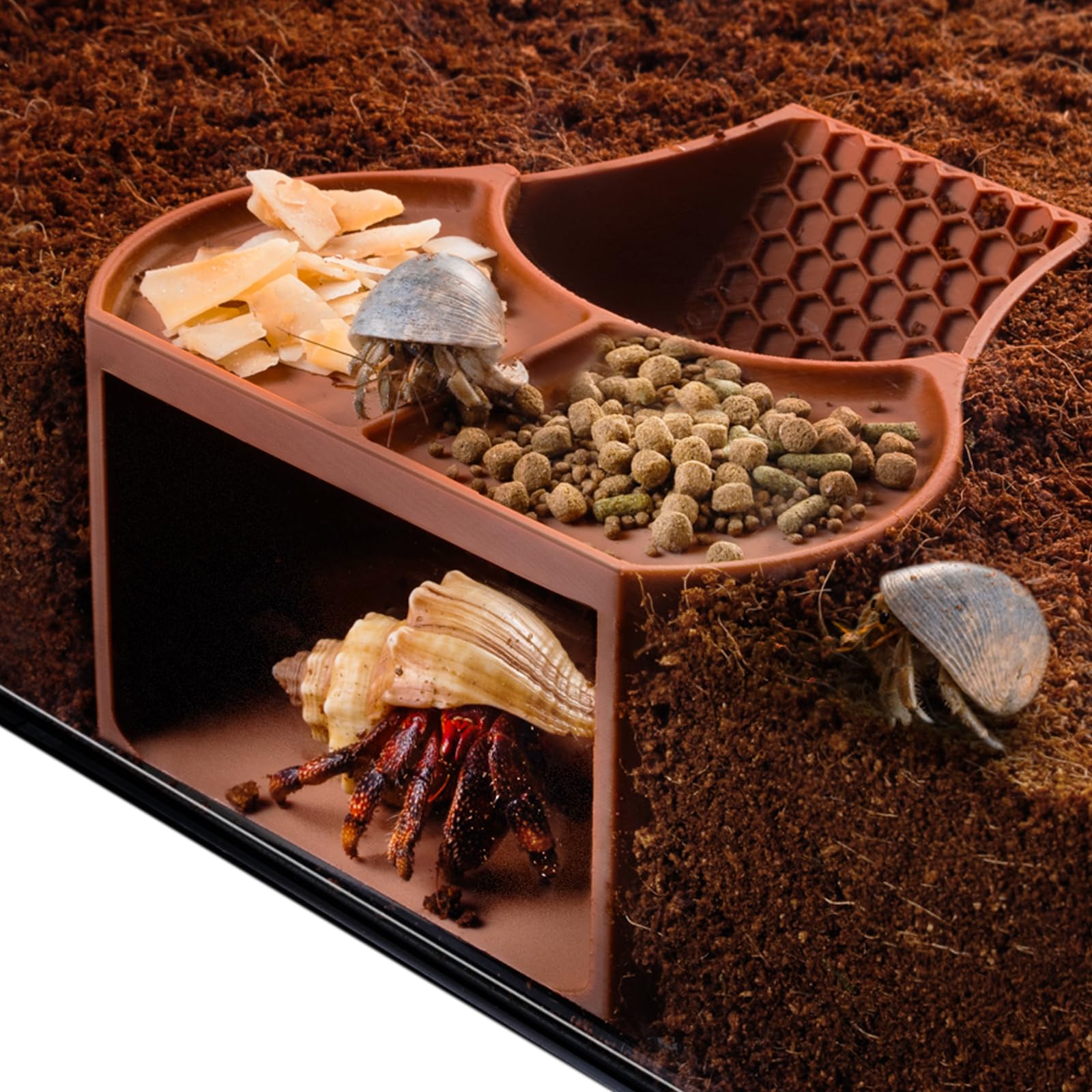 HERPDEN Habitat refuge et plats peu profonds pour divers aliments.