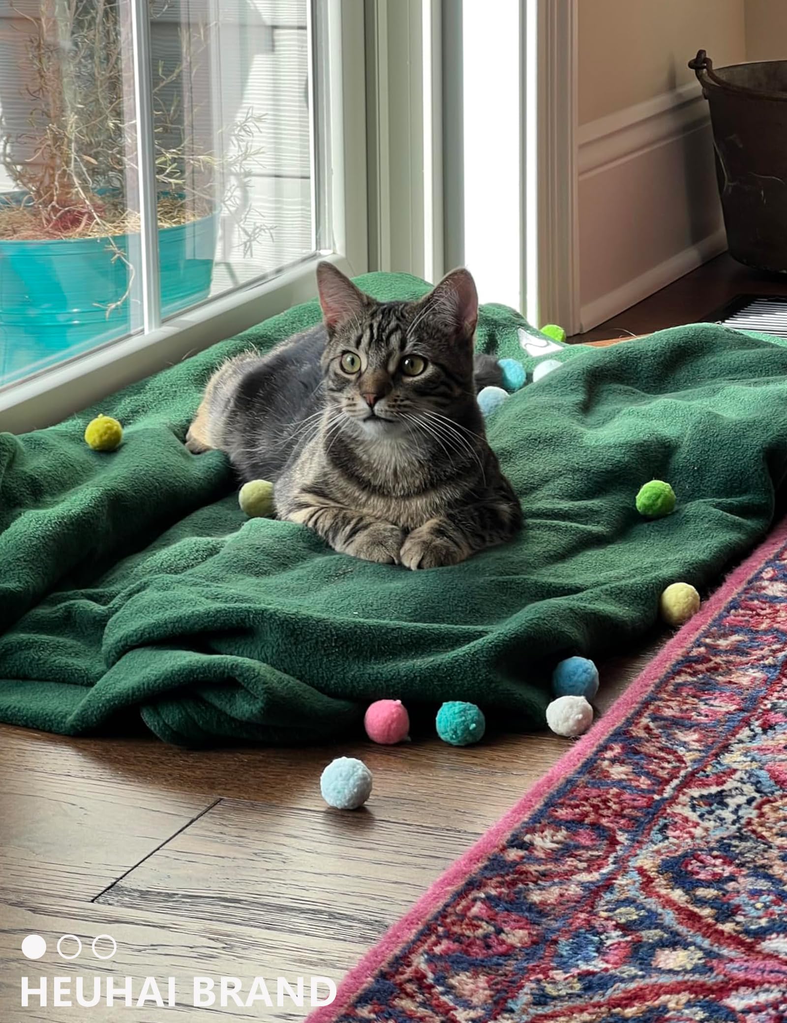 HEUHAI cadeau idéal pour amis des chats