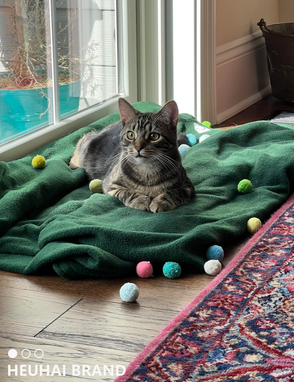 HEUHAI cadeau idéal pour amis des chats