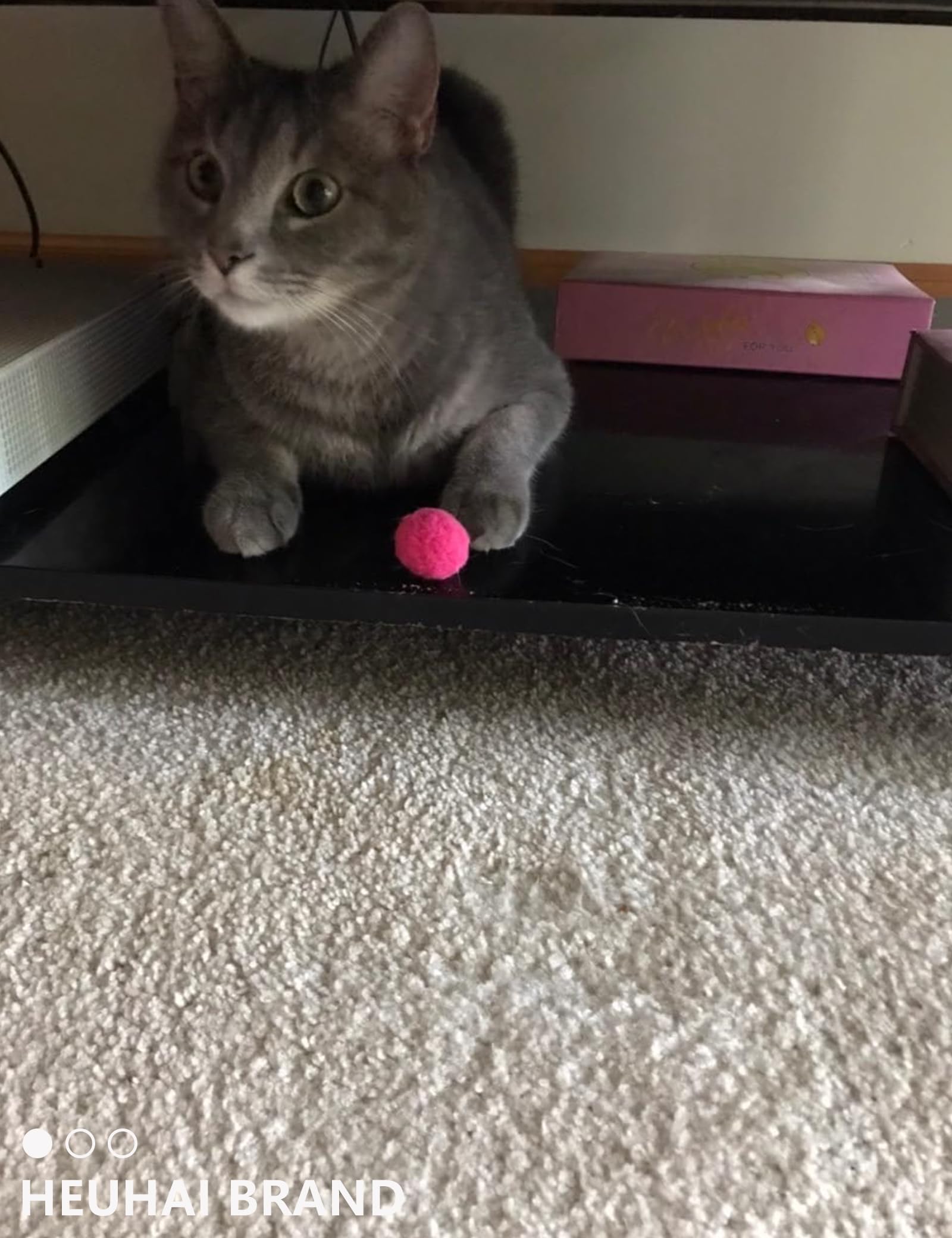 HEUHAI boules-chat protègent vos meubles lors des jeux intenses