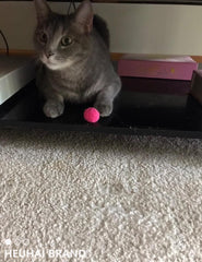 HEUHAI boules-chat protègent vos meubles lors des jeux intenses