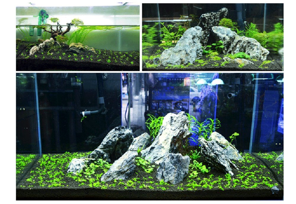 Hewnda Utilisation idéale pour aquarium planté et plantes prospèrent.