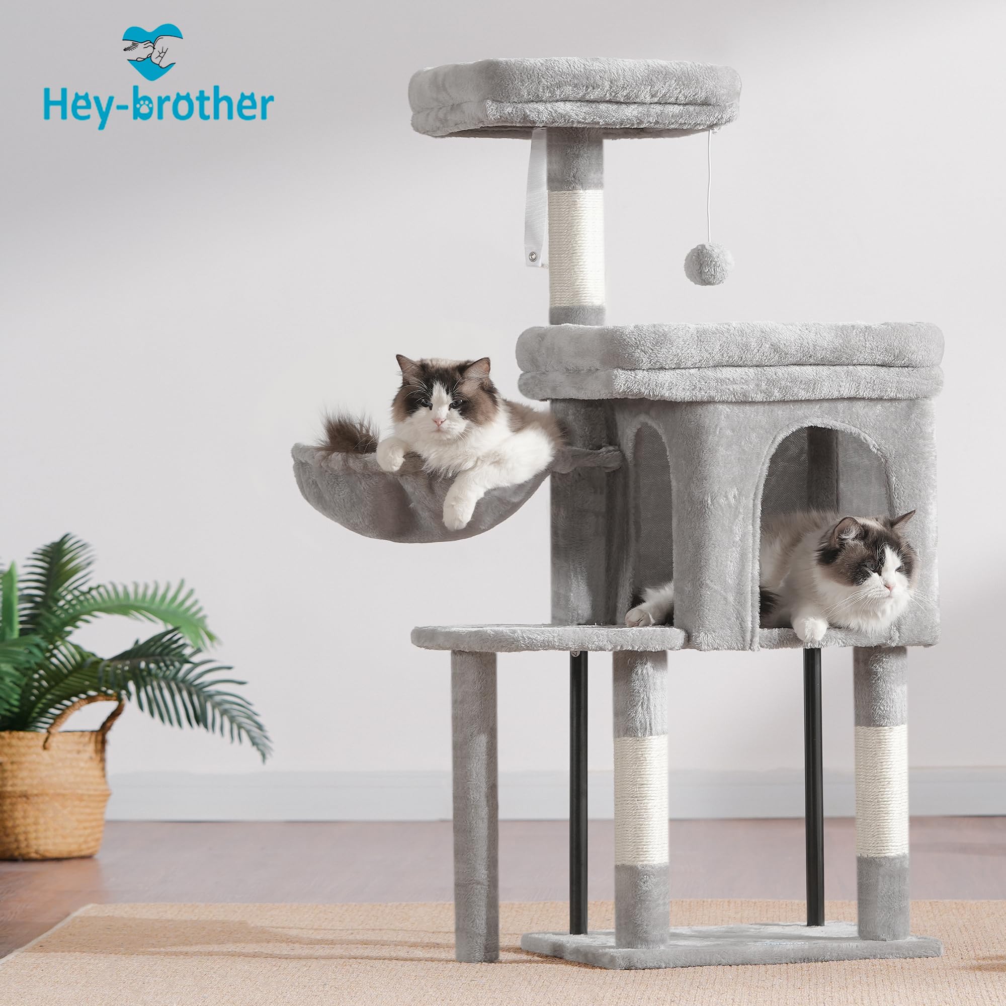 Hey-brother balle et jouet suspendu stimule activité physique et curiosité