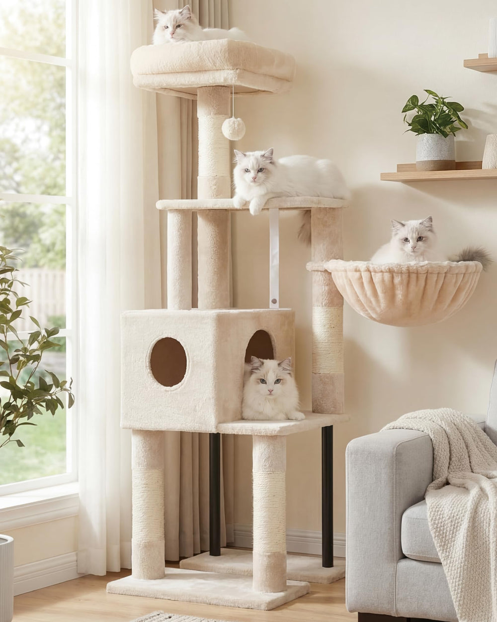 Heybly arbre chat 49,2 pouces – perchoir haut rembourré offrant vue dégagée