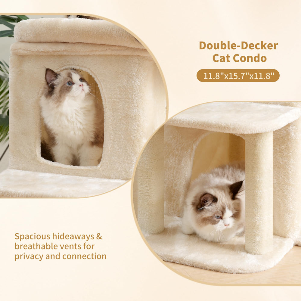 Heybly arbre à chat : assemblage rapide et outils simples inclus