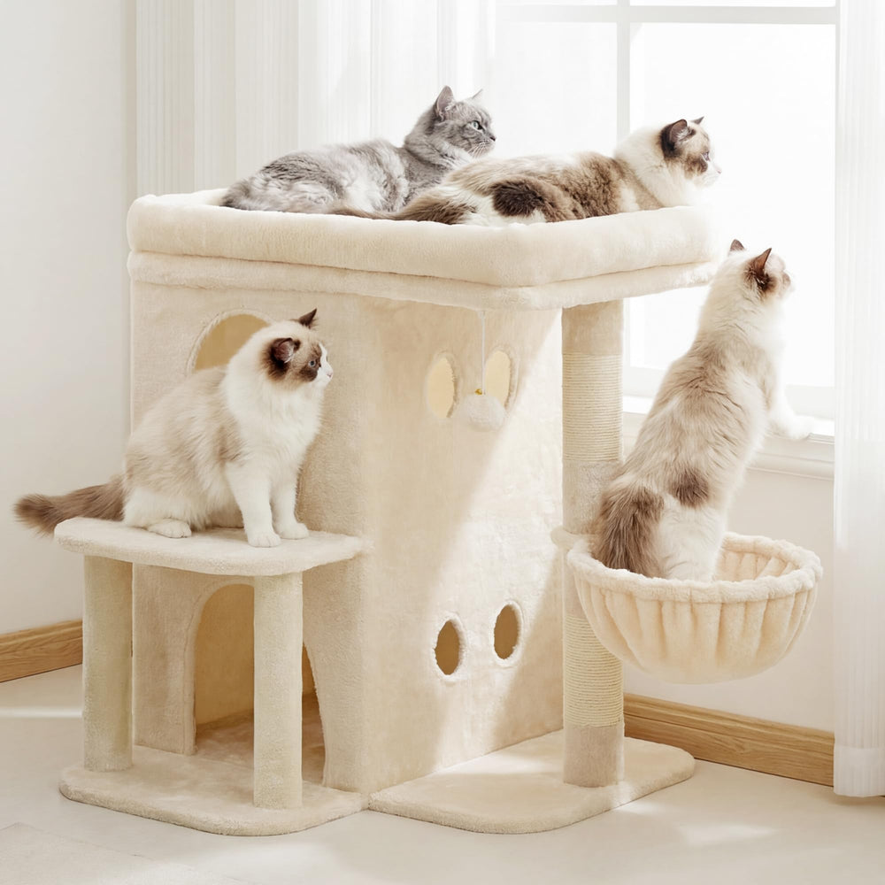 Heybly arbre à chat : base élargie pour stabilité et accès facile