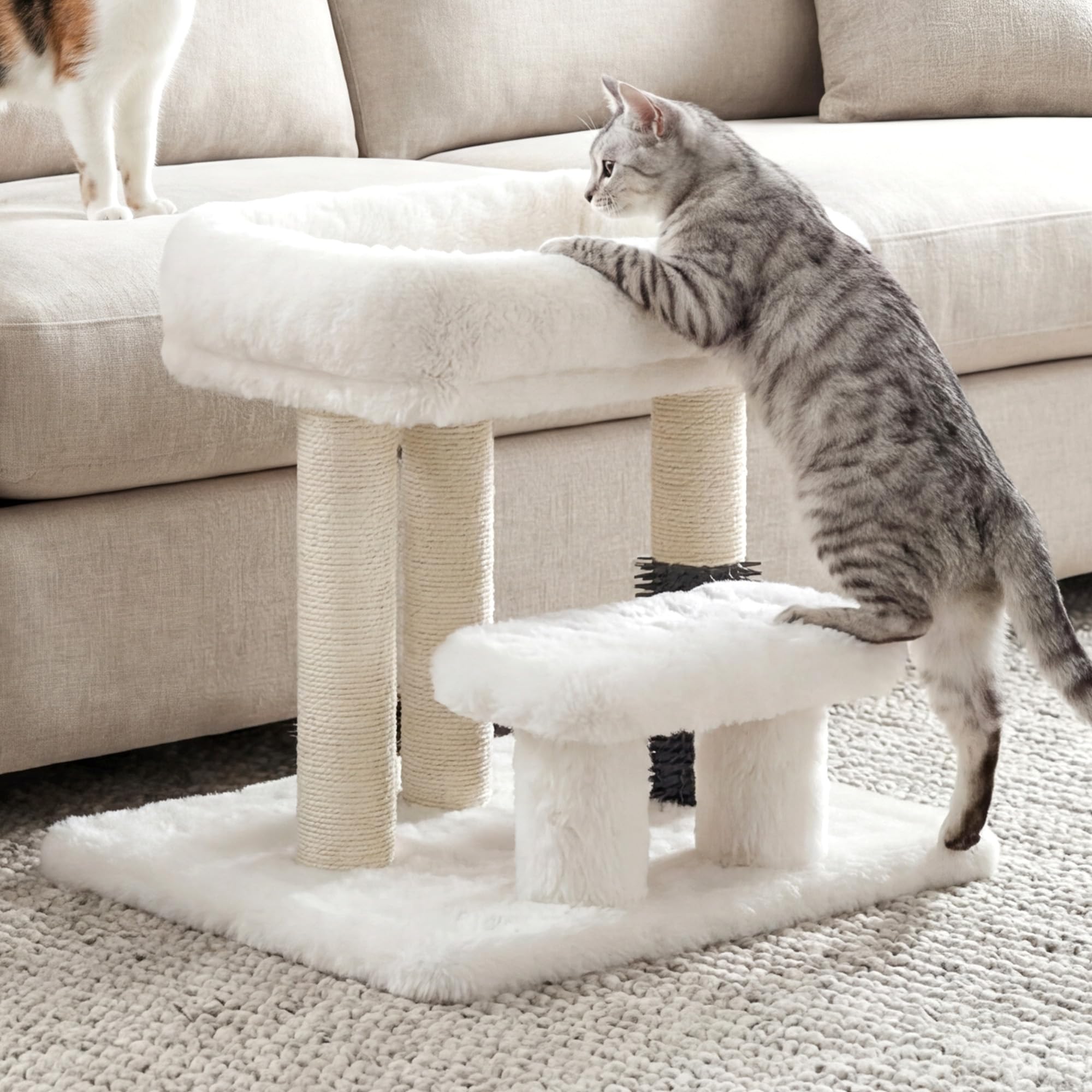 Heybly Arbre chat compact – couleur blanche et fini doux pour interieur.
