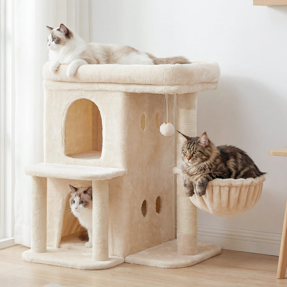Heybly arbre à chat : condos doubles offrant intimité et repos confortable