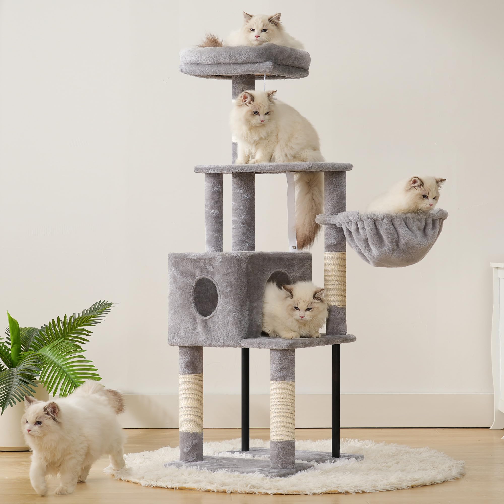 Heybly Arbre à chat design compact et intérieur élégant.