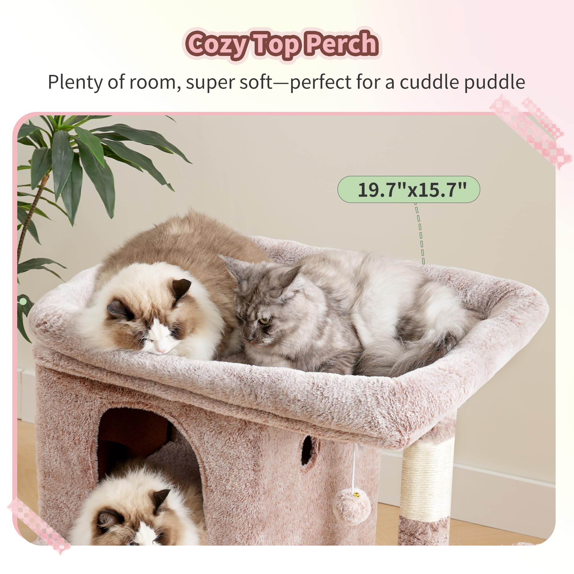 Heybly Arbre à Chat : dimension compacte adaptée aux petits espaces