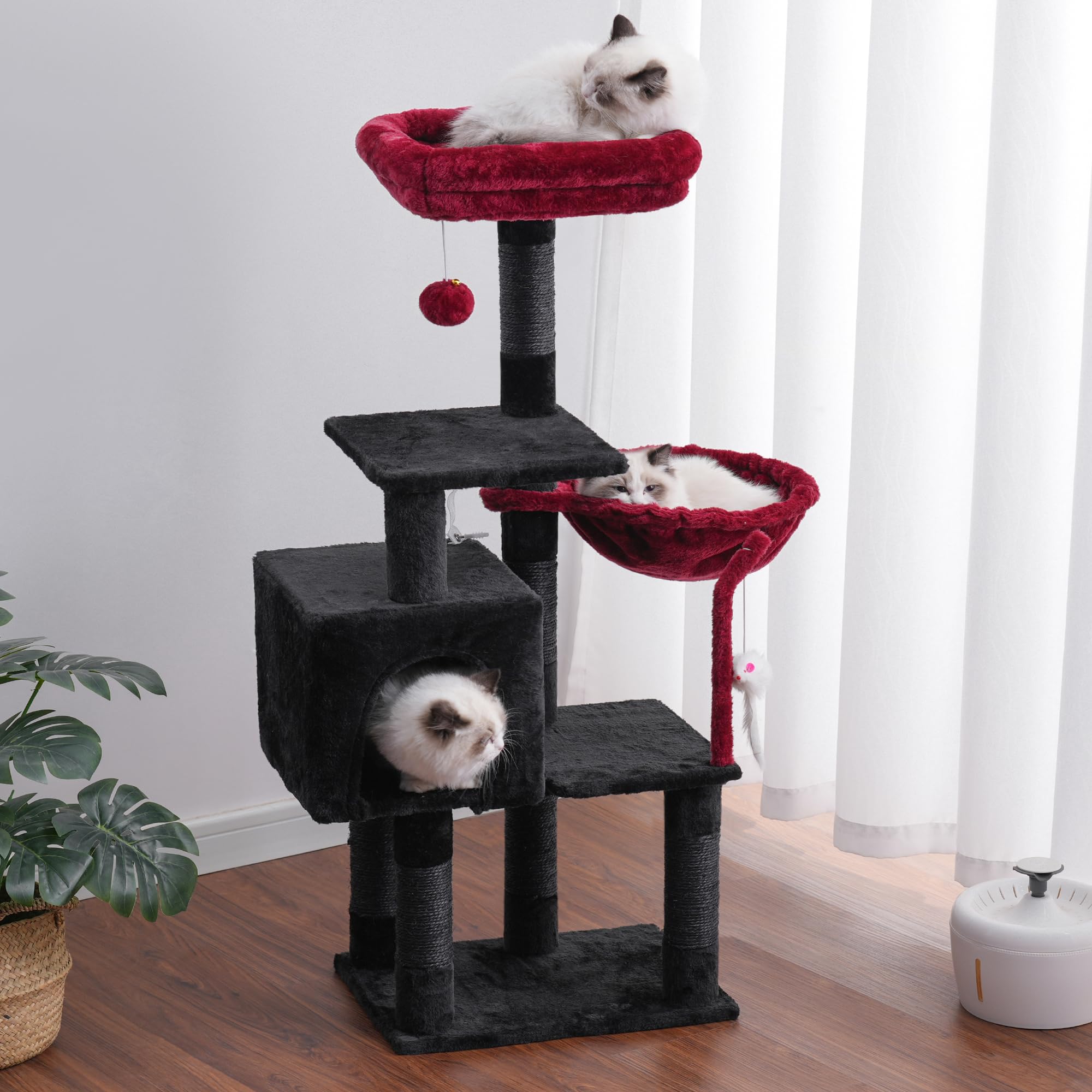 Heybly Arbre Chat plateformes-2-sauts : zones d’exploration polyvalentes
