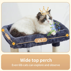 Heybly Arbre Chat - Postes Griffes Sisal, six pièces durables.
