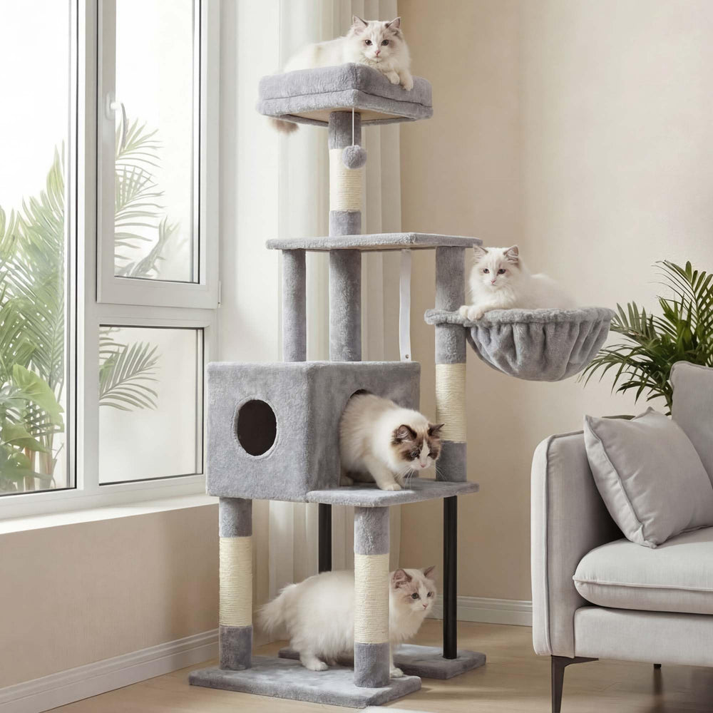 Heybly Arbre à chat avec haut perchoir pour observation et jeu.