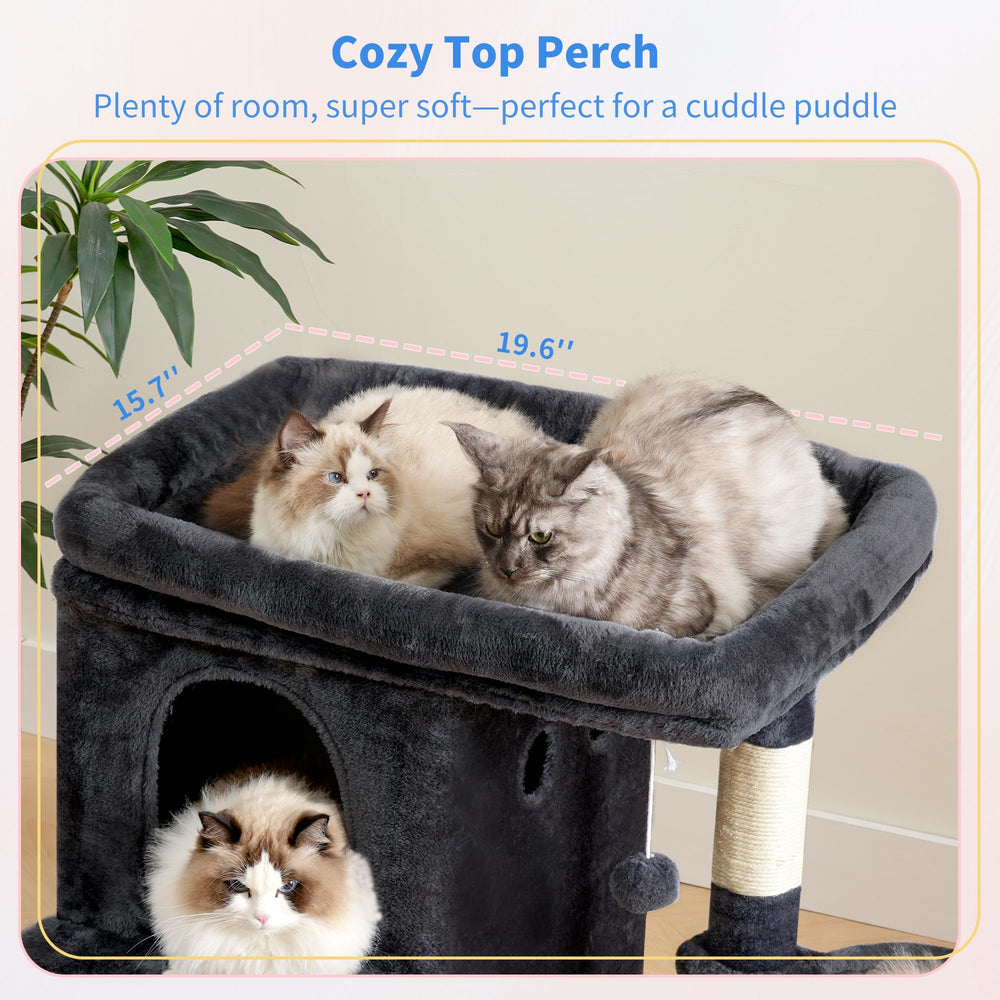 Heybly HCT204SG, base stable et dimensions adaptées pour plusieurs chats.