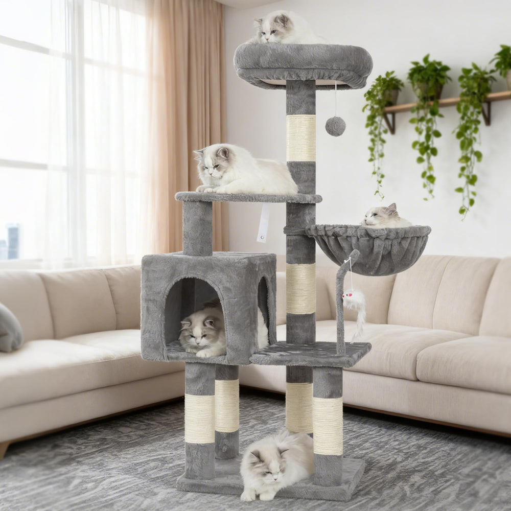Heybly conception-ergonomique-arbre-a-chat: design pensé pour faciliter l'escalade.