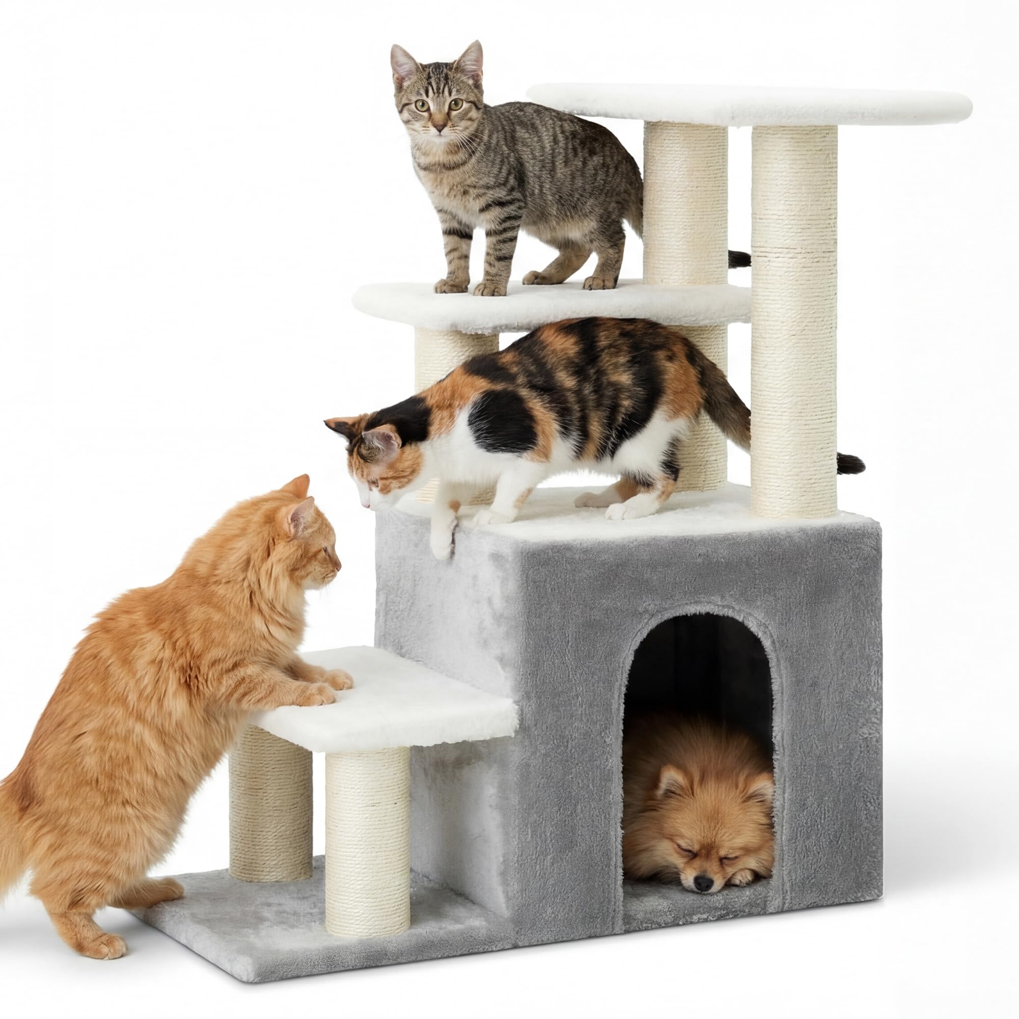 Heybly Pet Stairs six poteaux sisal protègent meubles