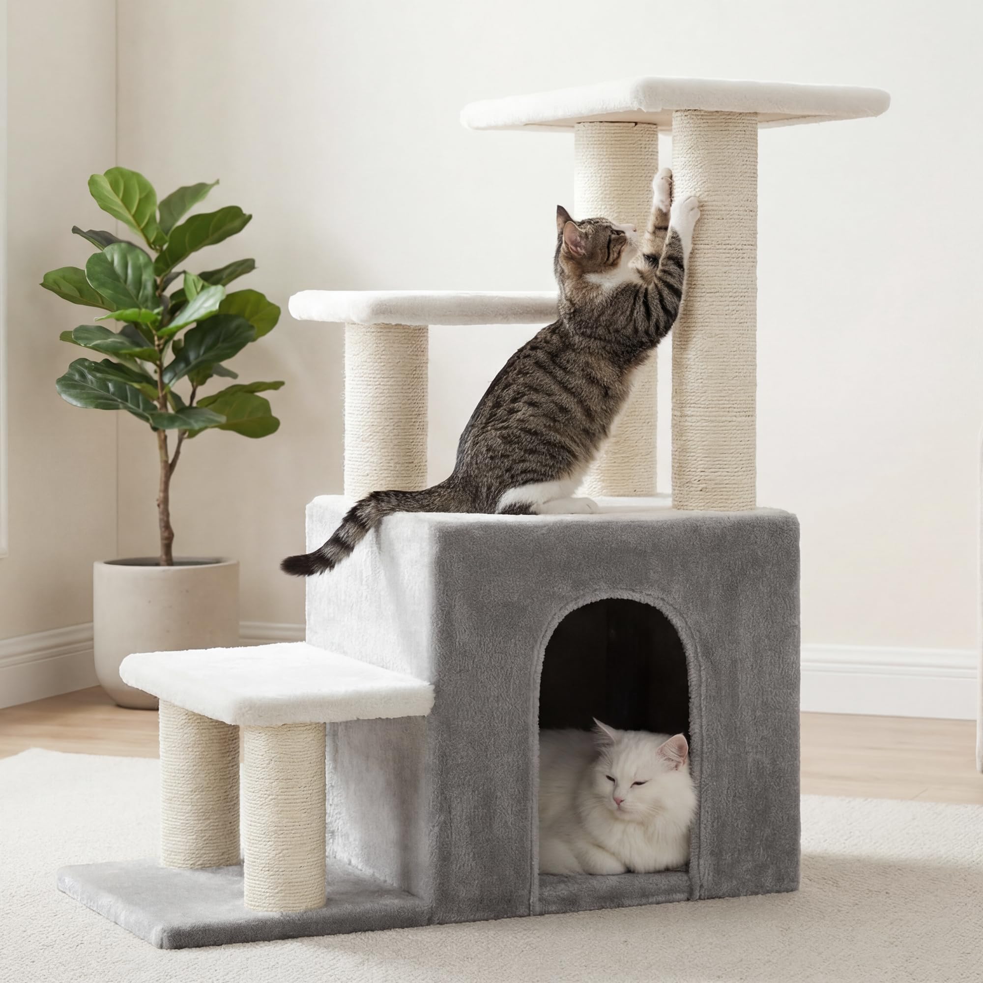 Heybly Stairs condo et poteaux sisal pour le griffage