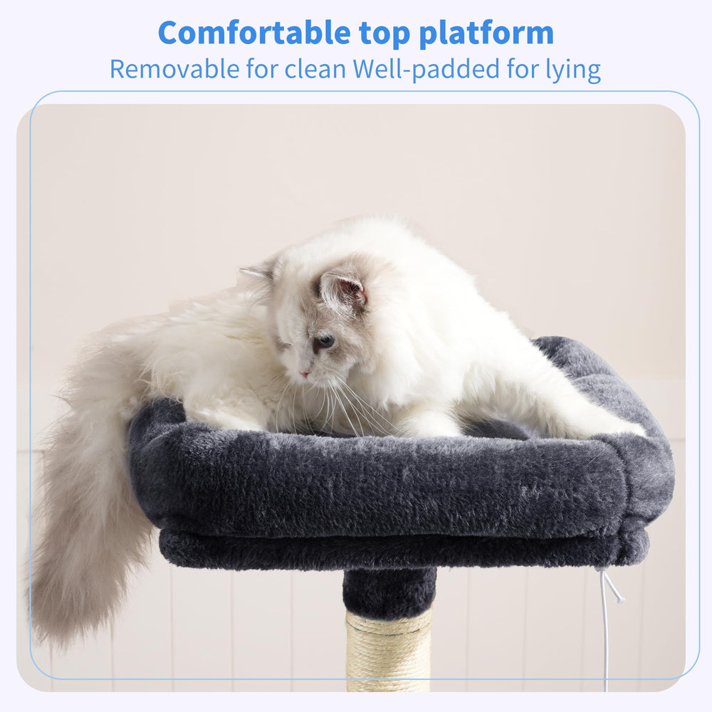 Heybly Tour d’intérieur pour chats offrant espace vertical et observation.