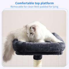 Heybly Tour d’intérieur pour chats offrant espace vertical et observation.