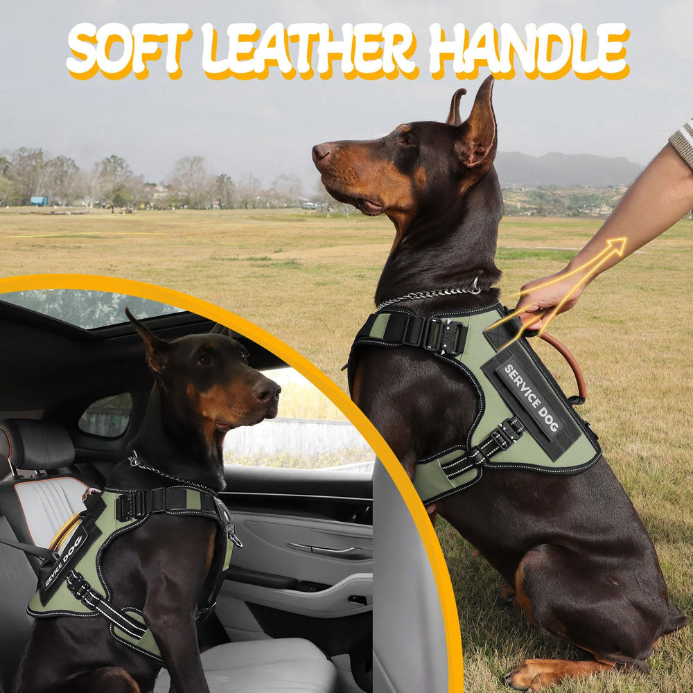 HEYCAHVA veste-service-molle-cotes : côté avec poches et attaches pour accessoires.
