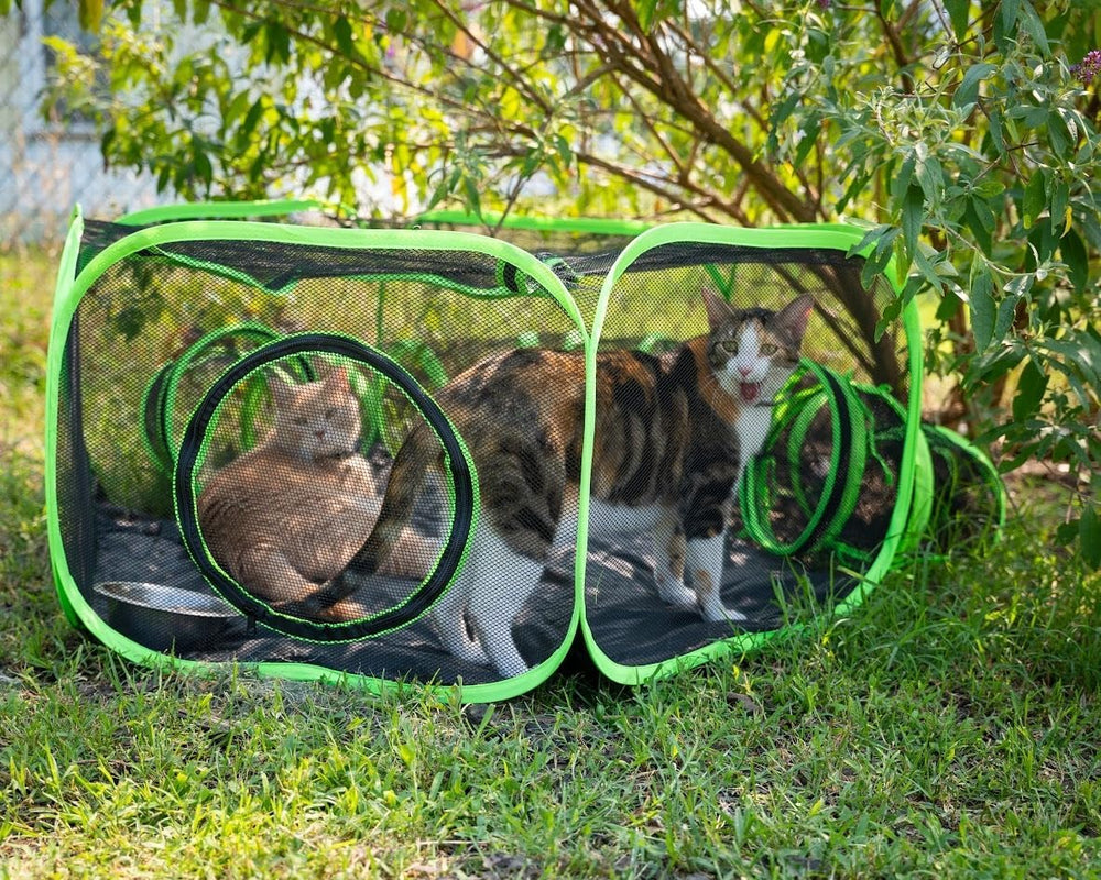 HEYHOME cage pour petits animaux avec toit: usage intérieur et extérieur.