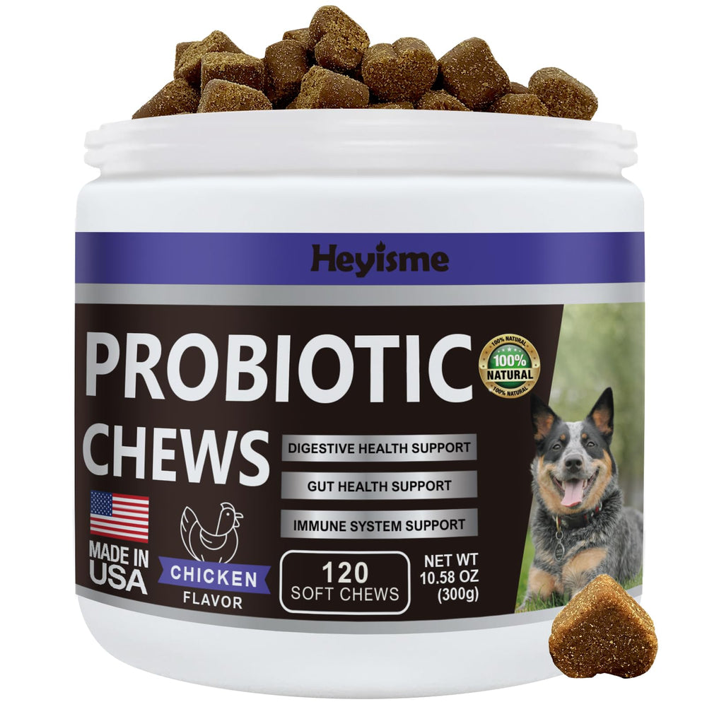 HEYISME Probiotiques pour chiens: friandises au poulet pour soutenir l’intestin sain.