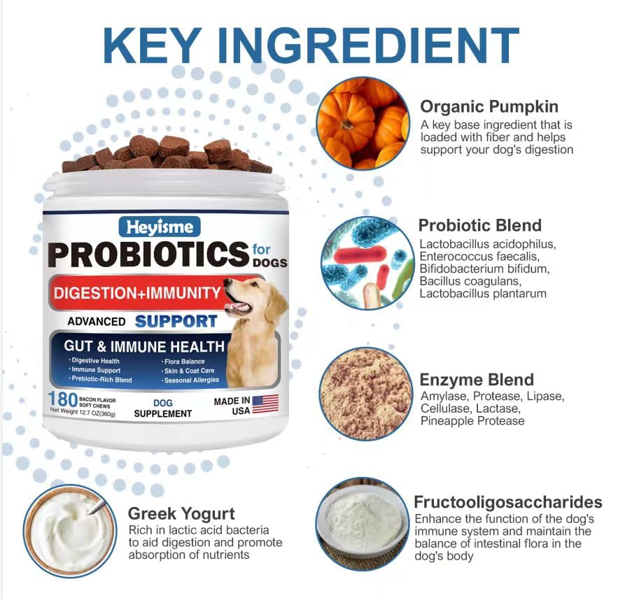 HEYISME Probiotiques pour chiens – immunité et bien-être potentiels pour chien actif.