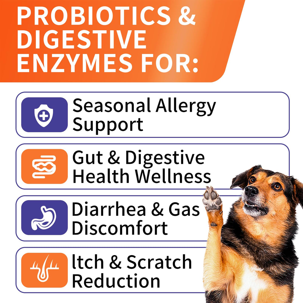 HEYISME Probiotiques chiens: soutien digestif et santé intestinale.