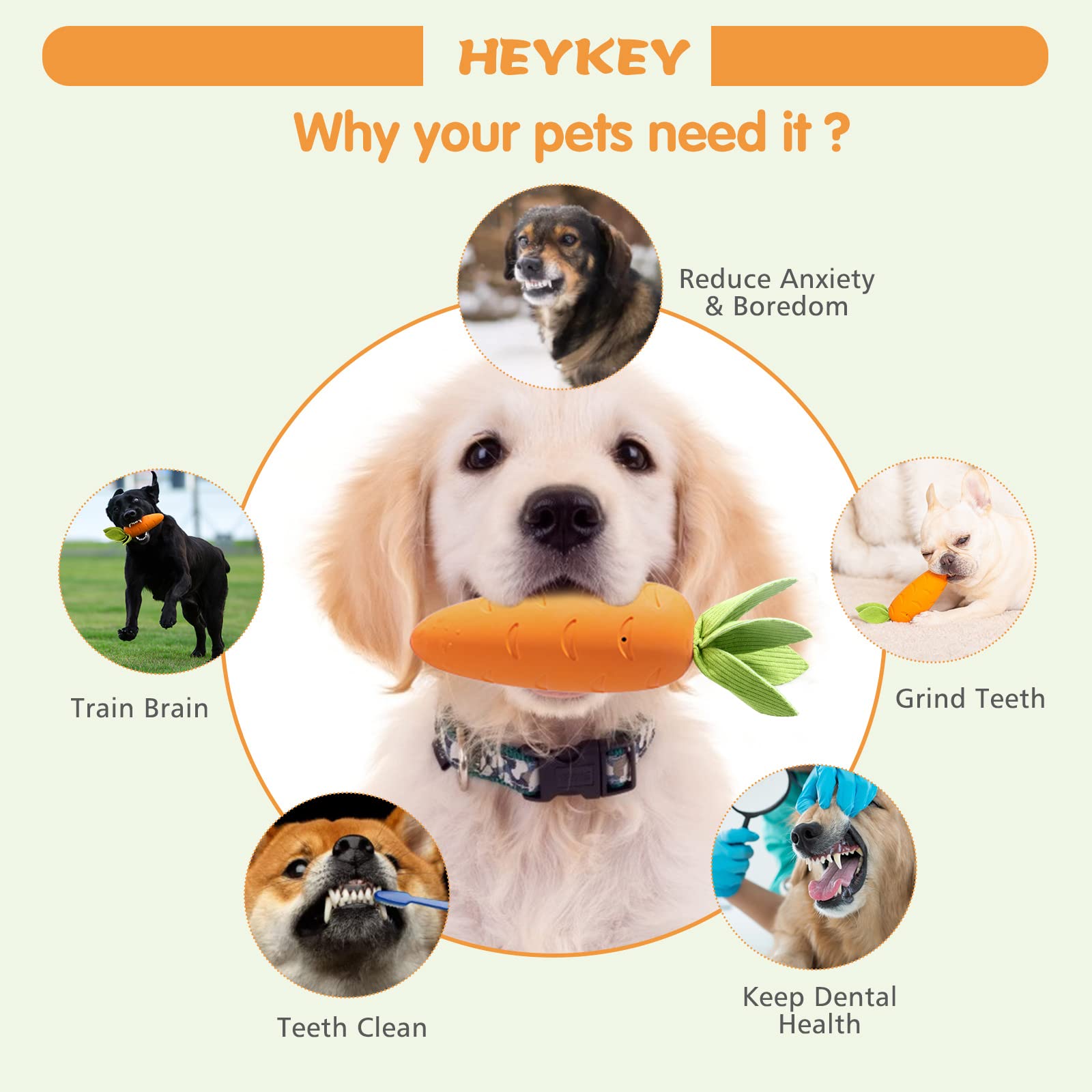 HEYKEY jouet saveur lait, stimule le jeu et attire l’attention du chien