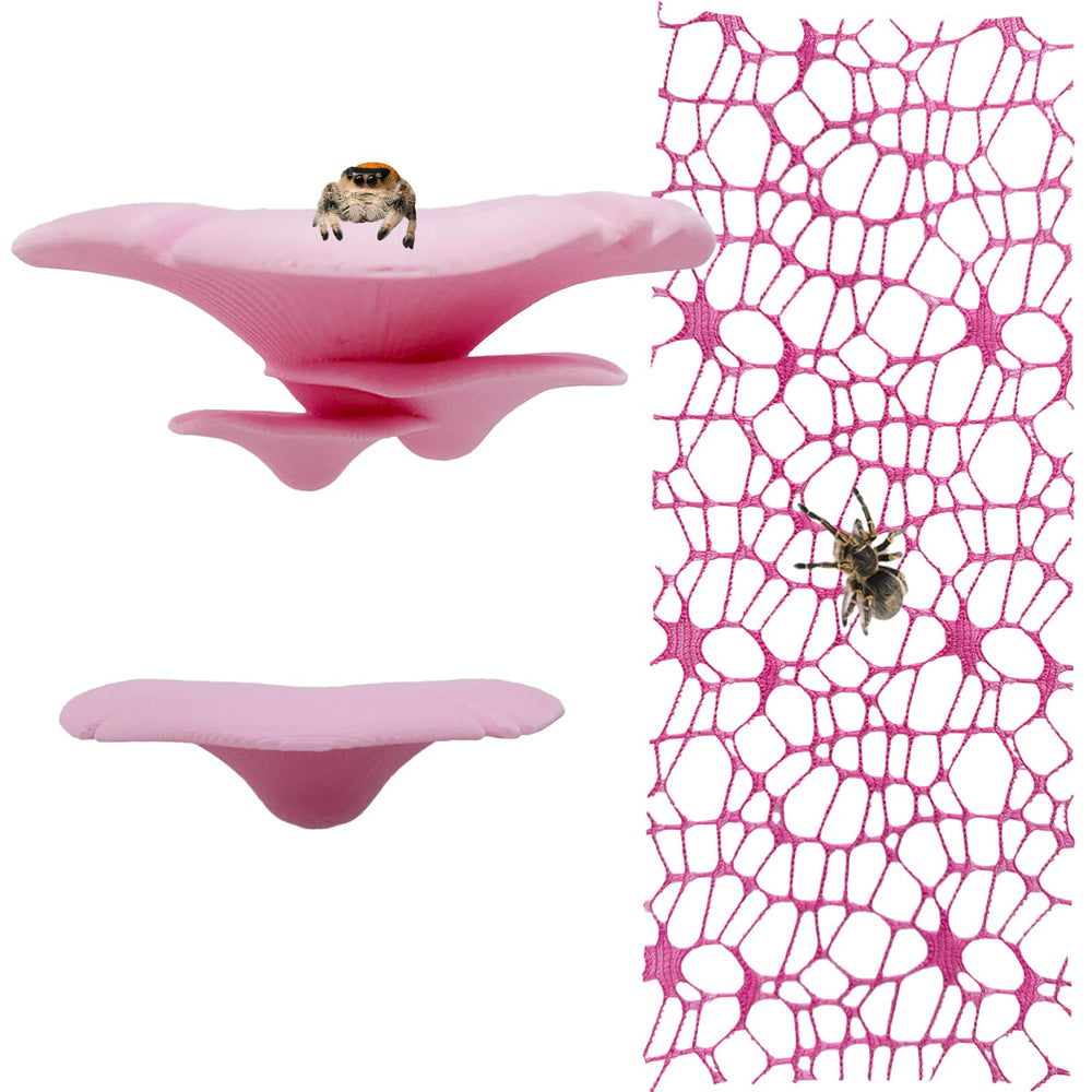 Heyshapeing étiquette champignon magnétique rose, surface stable pour petites araignées.