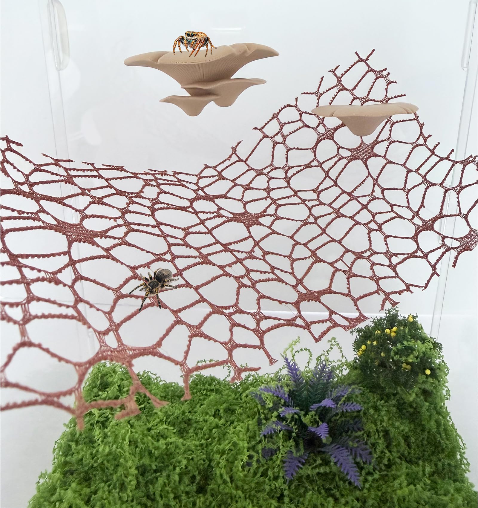 Heyshapeing habitat enrichi rose, environnement naturel pour invertébrés.