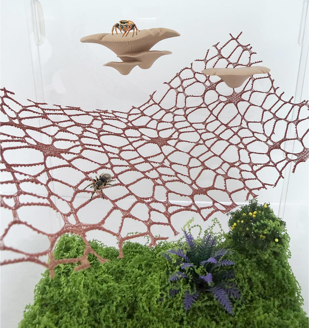 Heyshapeing habitat enrichi rose, environnement naturel pour invertébrés.