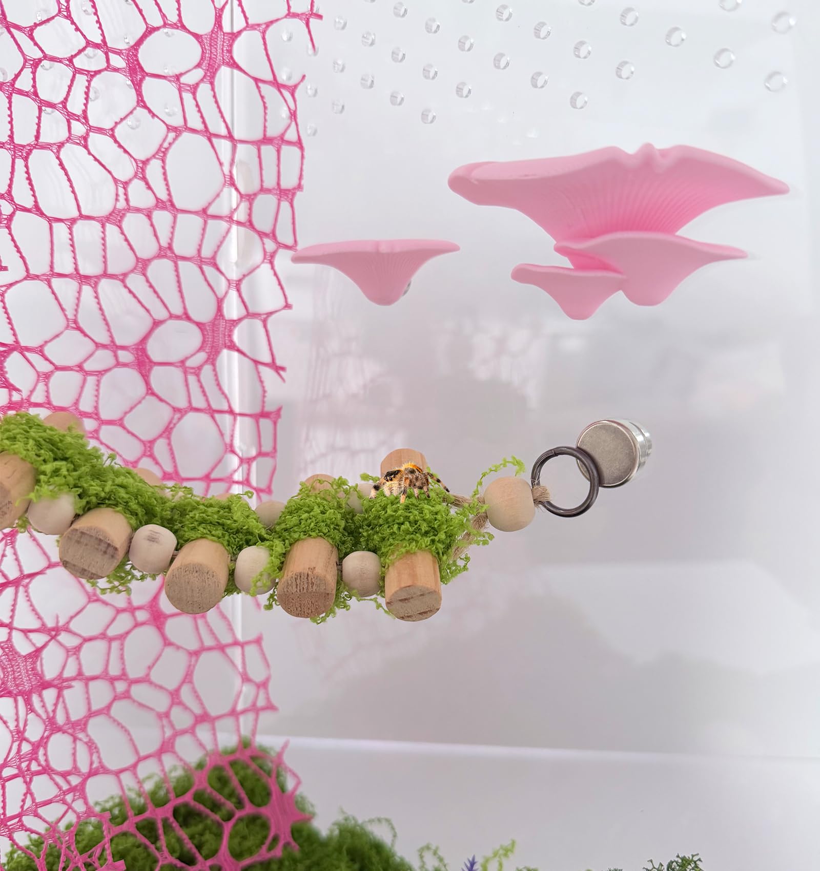 Heyshapeing ruban mousse rose, tissu doux pour dissimuler et organiser le terrarium.