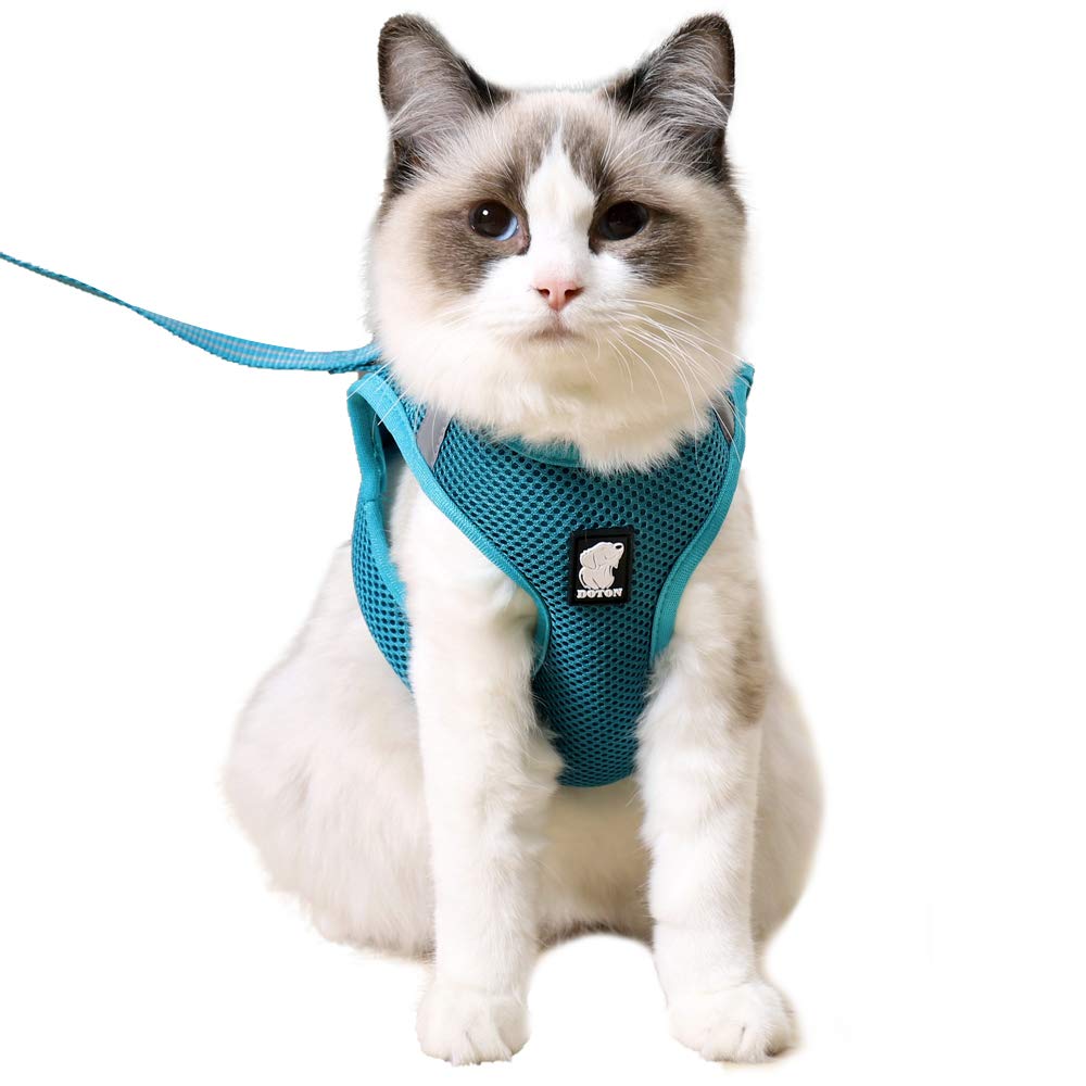 HEYWEAN harnais chat ultra léger pour liberté de mouvement.