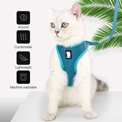 HEYWEAN harnais-chat-360-degres : sécurité renforcée et répartition uniforme de la pression.